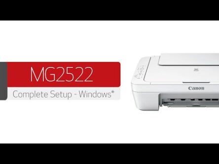 Canon Pixma MG2522 Initial Setup and Connection to a Windows PC